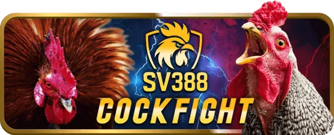Vòng quay miễn phí VN68